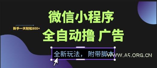 微信小程序全自动撸广告项目,彻底解决没流量的问题,新手一天8张+【揭秘】-A5资源网