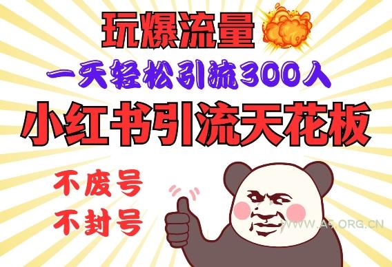 小红书引流天花板,玩爆流量,一天轻松引流300人,安全操作-A5资源网