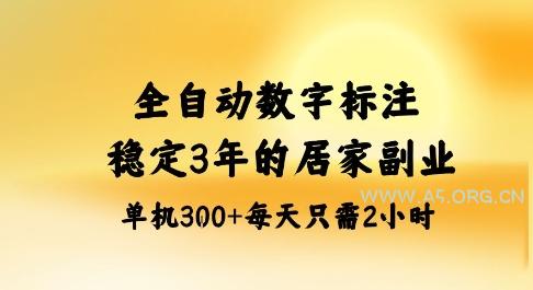 全自动数字标注,稳定3年的蓝海项目,居家也能矩阵开干的副业,单机日入3张+【揭秘】-A5资源网