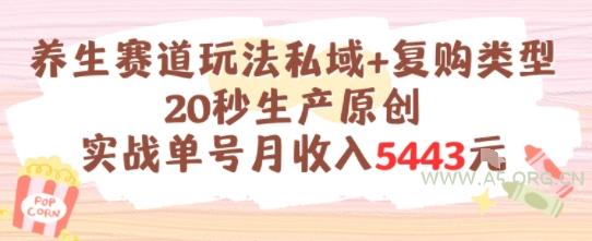 养生赛道玩法私域+复购类型,20秒生产原创实战单号月收入5k+-A5资源网