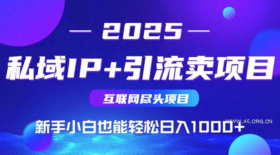 私域IP+卖项目,普通人小白也能轻松实现日入1000+-A5资源网