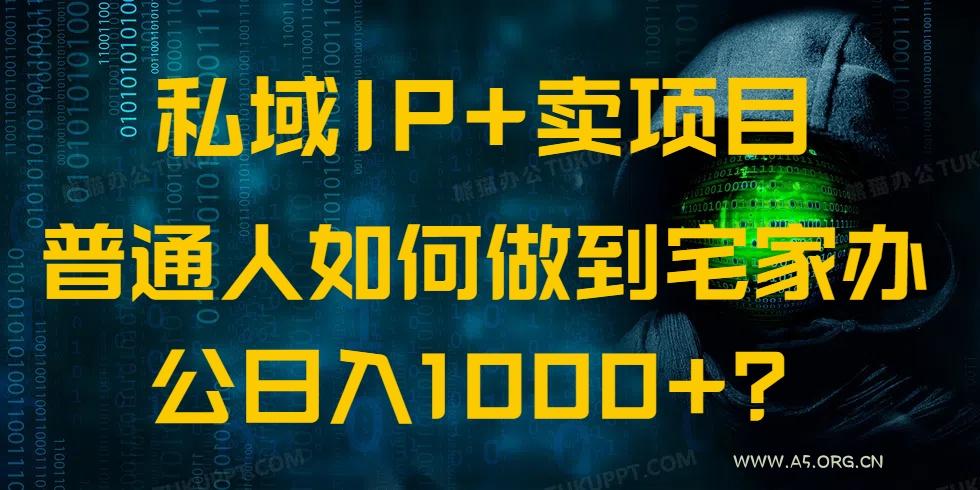 私域IP+卖项目,普通人如何做到宅家办公实现日入1000+-A5资源网