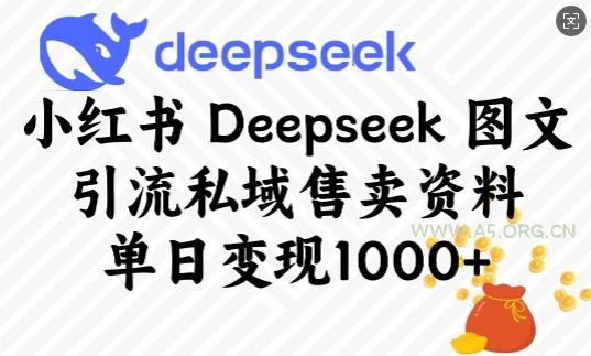 小红书Deepseek图文引流私域售卖资料,单日变现多张-A5资源网