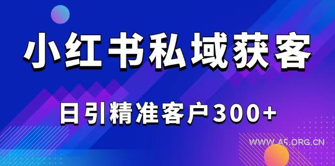 2025最新小红书平台引流获客截流自热玩法讲解,日引精准客户300+-A5资源网