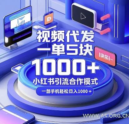 视频代发,一单5块,小红书引流合作模式,一部手机轻松日入多张【揭秘】-A5资源网