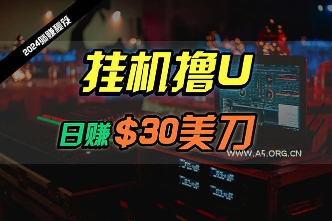 (10013期)日赚30美刀,2024最新海外挂机撸U内部项目,全程无人值守,可批量放大-A5资源网