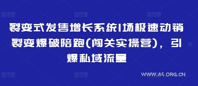 裂变式发售增长系统1场极速动销裂变爆破陪跑(闯关实操营),引爆私域流量-A5资源网