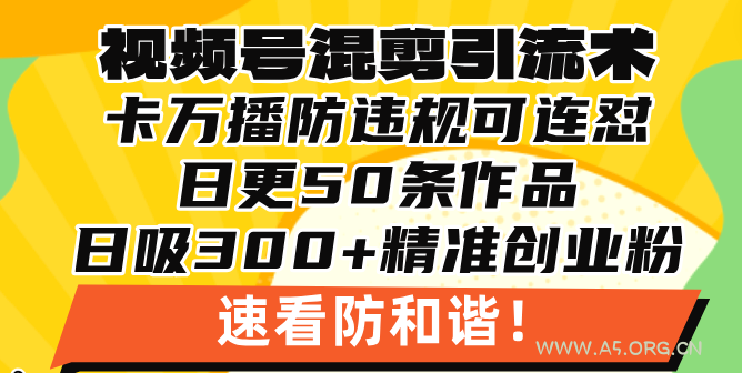 视频号混剪引流技术，500万播放引流17000创业粉，操作简单当天学会-A5资源网