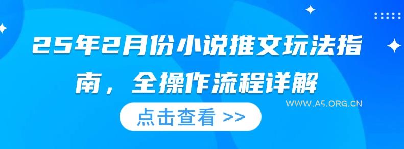 25年2月份小说推文玩法指南,全操作流程详解-A5资源网