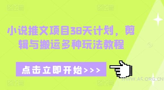 小说推文项目38天计划,剪辑与搬运多种玩法教程-A5资源网