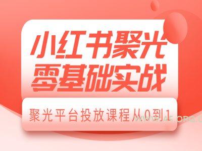 小红书聚光零基础实战,聚光平台投放课程从0到1-A5资源网