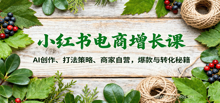 小红书电商增长课:AI创作、打法策略、商家自营,爆款与转化秘籍-A5资源网
