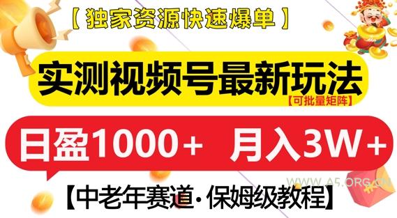 实测视频号最新玩法,中老年赛道,独家资源,月入过W+【揭秘】-A5资源网