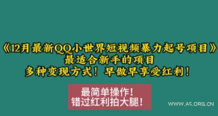 12月最新QQ小世界短视频暴力起号项目,最适合新手的项目,多种变现方式-A5资源网
