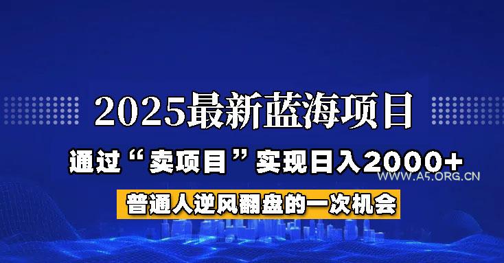 2025年蓝海项目,如何通过“网创项目”日入2000+-A5资源网