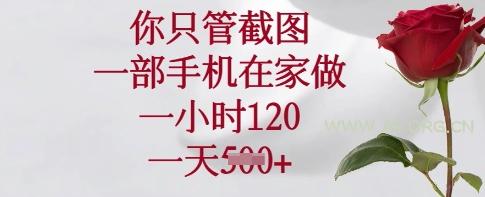 你只管截图,一部手机在家做,一小时120.一天5张【揭秘】-A5资源网