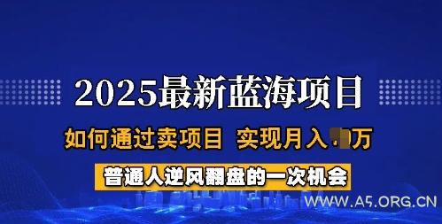 2025蓝海项目,普通人如何通过卖项目,实现月入过W,全过程【揭秘】-A5资源网