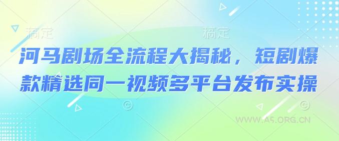 河马剧场全流程大揭秘,短剧爆款精选同一视频多平台发布实操-A5资源网