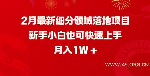 2月最新细分领域落地项目,新手小白也可快速上手,月入1W-A5资源网