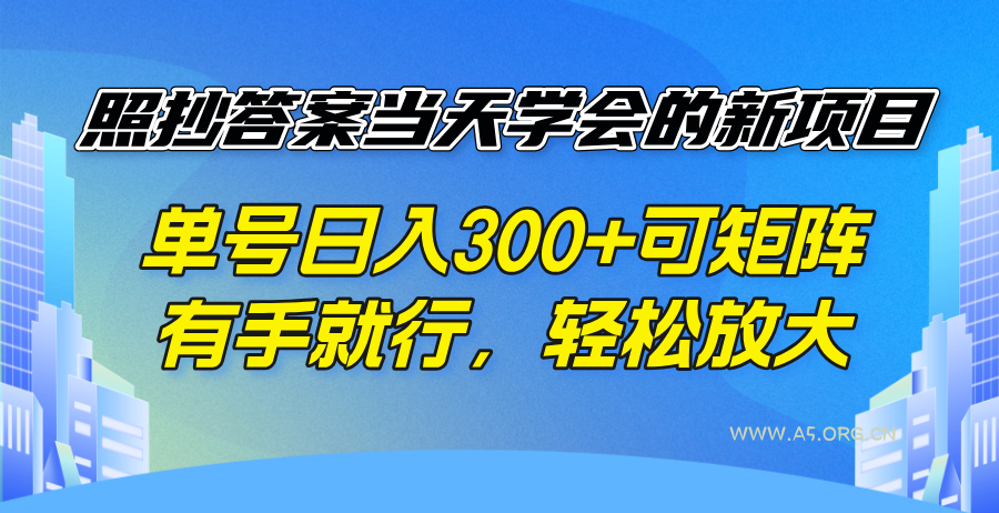 照抄答案当天学会的新项目,单号日入300 +可矩阵,有手就行,轻松放大-A5资源网