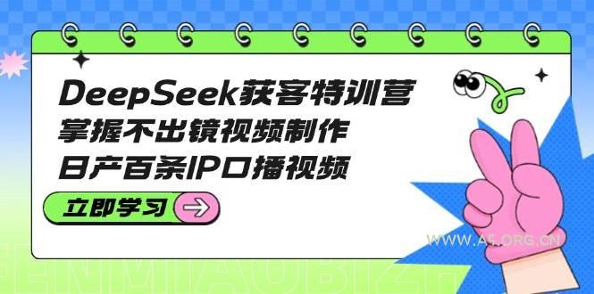 DeepSeek获客特训营:掌握不出镜视频制作,日产百条IP口播视频-A5资源网