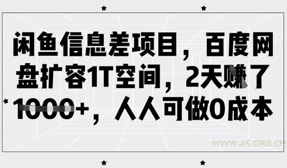 闲鱼信息差项目,百度网盘扩容1T空间,2天收益1k+,人人可做0成本-A5资源网