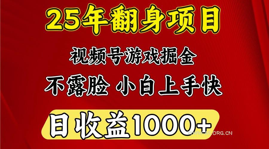 一天收益1000+ 25年开年落地好项目-A5资源网
