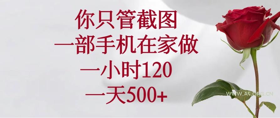 你只管截图,一部手机在家做,一小时120,一天500+-A5资源网