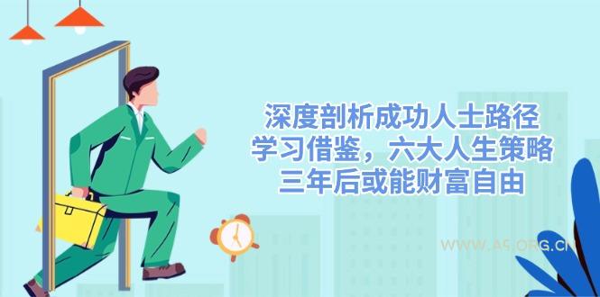 深度剖析成功人士路径,学习借鉴,六大人生策略,三年后或能财富自由-A5资源网