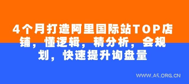 4个月打造阿里国际站TOP店铺,懂逻辑,精分析,会规划,快速提升询盘量-A5资源网