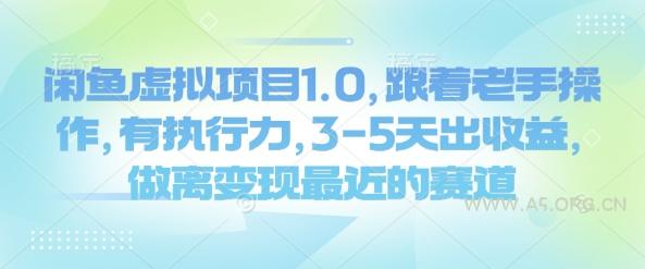 闲鱼虚拟项目1.0,跟着老手操作,有执行力,3-5天出收益,做离变现最近的赛道-A5资源网