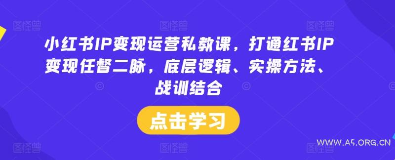 小红书IP变现运营私教课,打通红书IP变现任督二脉,底层逻辑、实操方法、战训结合-A5资源网