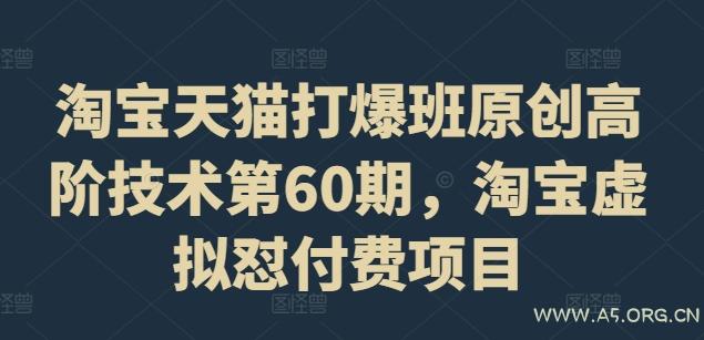 淘宝天猫打爆班原创高阶技术第60期,淘宝虚拟怼付费项目-A5资源网