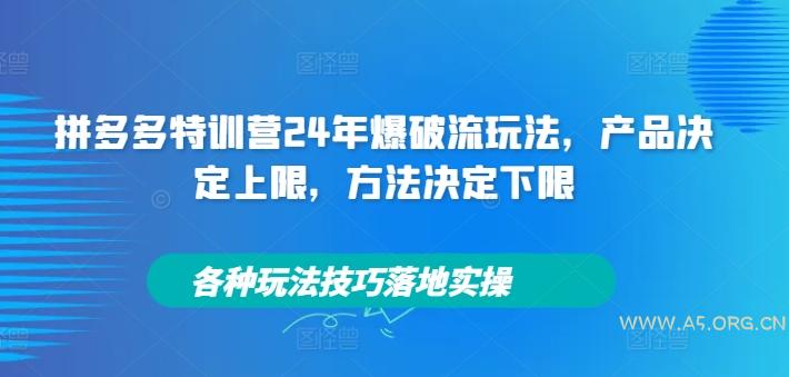 拼多多特训营24年爆破流玩法，产品决定上限，方法决定下限，各种玩法技巧落地实操-A5资源网