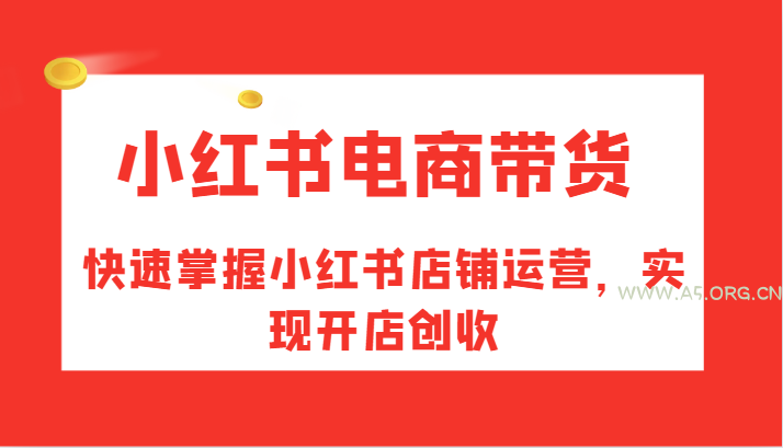 小红书电商带货，快速掌握小红书店铺运营，实现开店创收-A5资源网