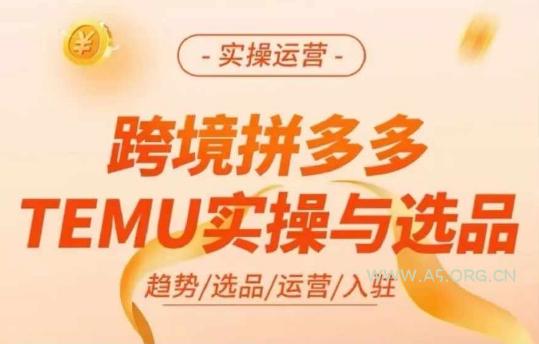 跨境拼多多TEMU实操与选品,多多temu跨境选品运营实操-A5资源网
