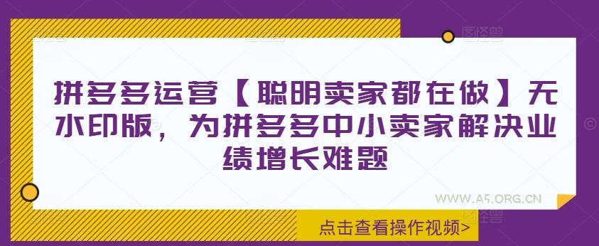 拼多多运营【聪明卖家都在做】无水印版,为拼多多中小卖家解决业绩增长难题-A5资源网