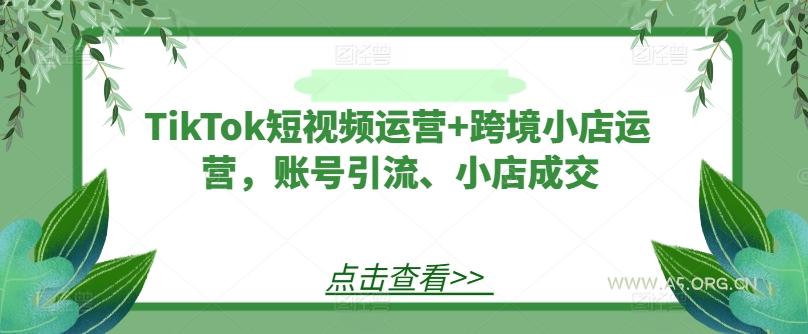TikTok短视频运营+跨境小店运营,账号引流、小店成交-A5资源网