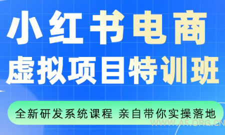 陆明明·小红书虚拟项目特训班(更新9月)-A5资源网