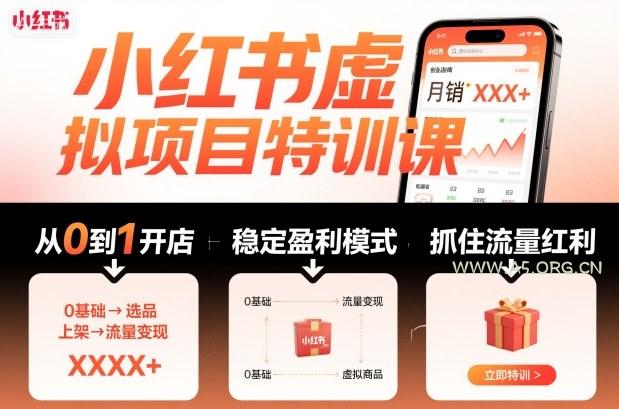 小红书虚拟项目特训课,帮你从0到1打造稳定盈利的店铺,抓住流量红利(更新9月)-A5资源网