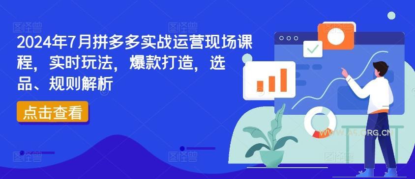 2024年7月拼多多实战运营现场课程,实时玩法,爆款打造,选品、规则解析-A5资源网