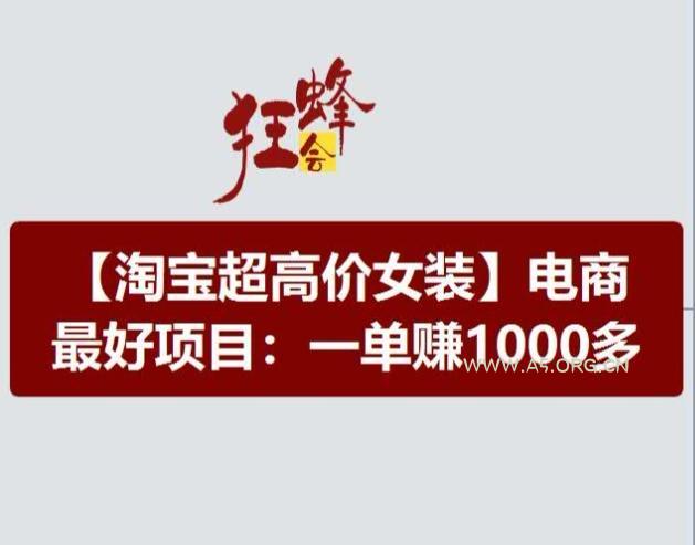 淘宝超高价女装项目,电商最好赛道,一单赚1000多-A5资源网