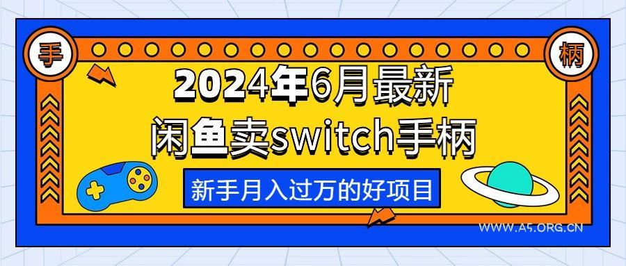 2024年6月最新闲鱼卖switch游戏手柄,新手月入过万的第一个好项目-A5资源网