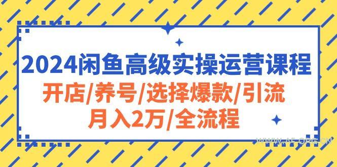 2024闲鱼高级实操运营课程:开店/养号/选择爆款/引流/月入2万/全流程-A5资源网