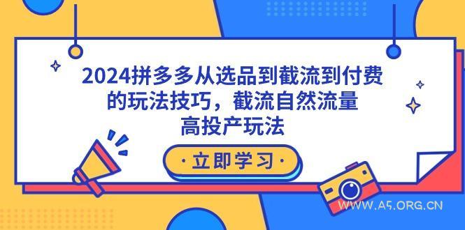 2024拼多多从选品到截流到付费的玩法技巧,截流自然流量玩法,高投产玩法-A5资源网
