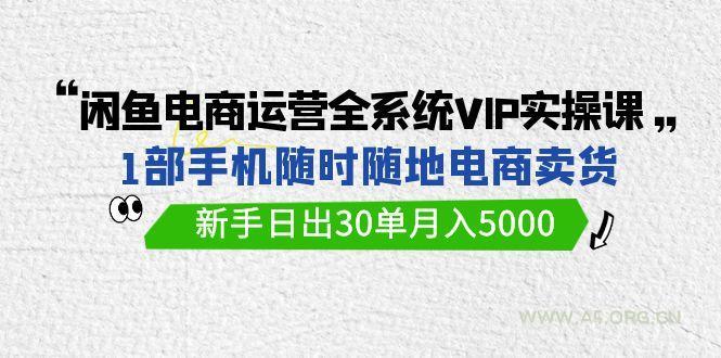(9547期)闲鱼电商运营全系统VIP实战课,1部手机随时随地卖货,新手日出30单月入5000-A5资源网