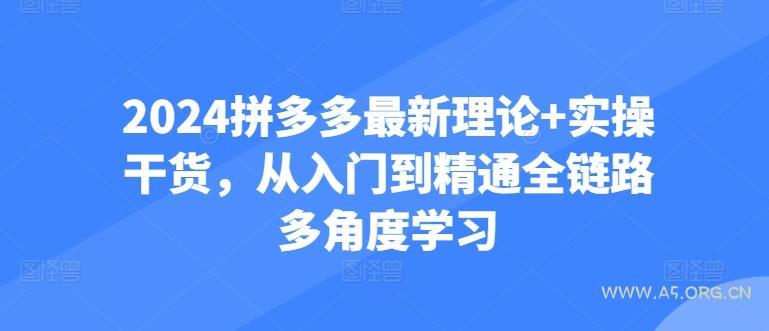 2024拼多多最新理论+实操干货,从入门到精通全链路多角度学习-A5资源网