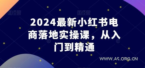 2024最新小红书电商落地实操课,从入门到精通-A5资源网