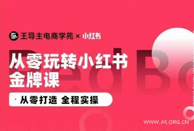 王导主·小红书电商运营实操课,从零打造  全程实操-A5资源网