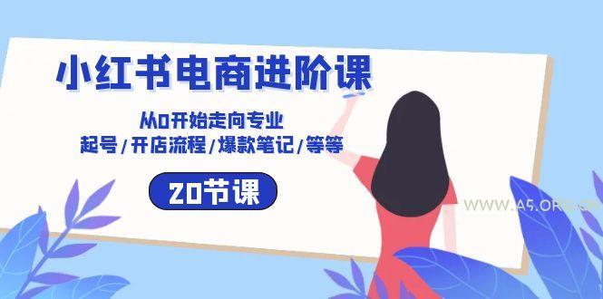 小红书电商进阶课:从0开始走向专业 起号/开店流程/爆款笔记/等等(20节-A5资源网